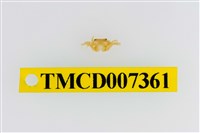 藏品(雙色澤蟹)的圖片